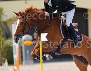 ADDIS ITACA MIA CampITA2013- S5 0937 : ADDIS PIERPAOLO, Campionati Italiani 2013, Cattolica, Horse Riviera Resort, ITACA MIA, foto di Stefano Secchi ©